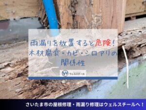 雨漏りを放置すると危険！木材腐食・カビ・シロアリの関係性