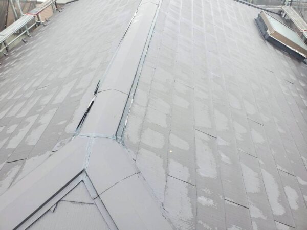 さいたま市岩槻区にて屋根修理〈天窓からの雨漏り・スーパーガルテクトへのカバー工法〉の施工前写真